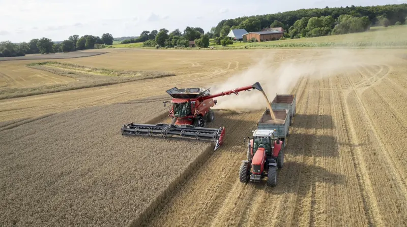 Case IH Mähdrescher überlädt Getreide auf Massey Ferguson Gespann